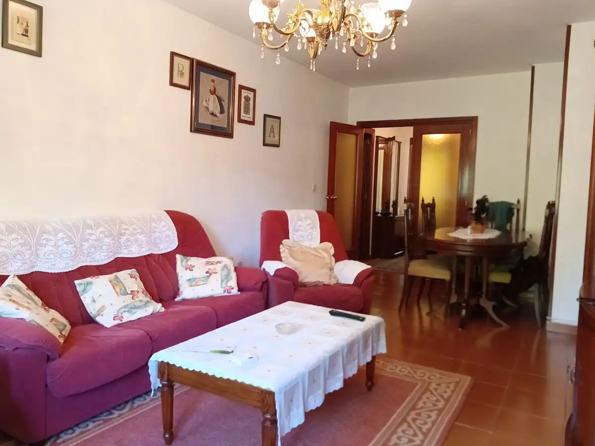 Living room of Flat for sale in Valladolid  with Heating, Parquet flooring and Terrace