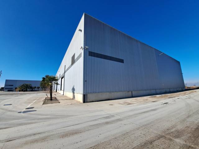 Nave industrial en Alquiler en  Polígono 2 Parcela 185 MARGALEF. TORREGROSSA (LLE, 2 en Torregrossa