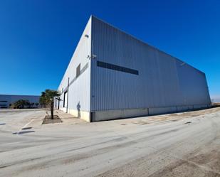 Exterior view of Industrial buildings to rent in Torregrossa