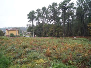 Terreno residenziale in vendita a Boiro