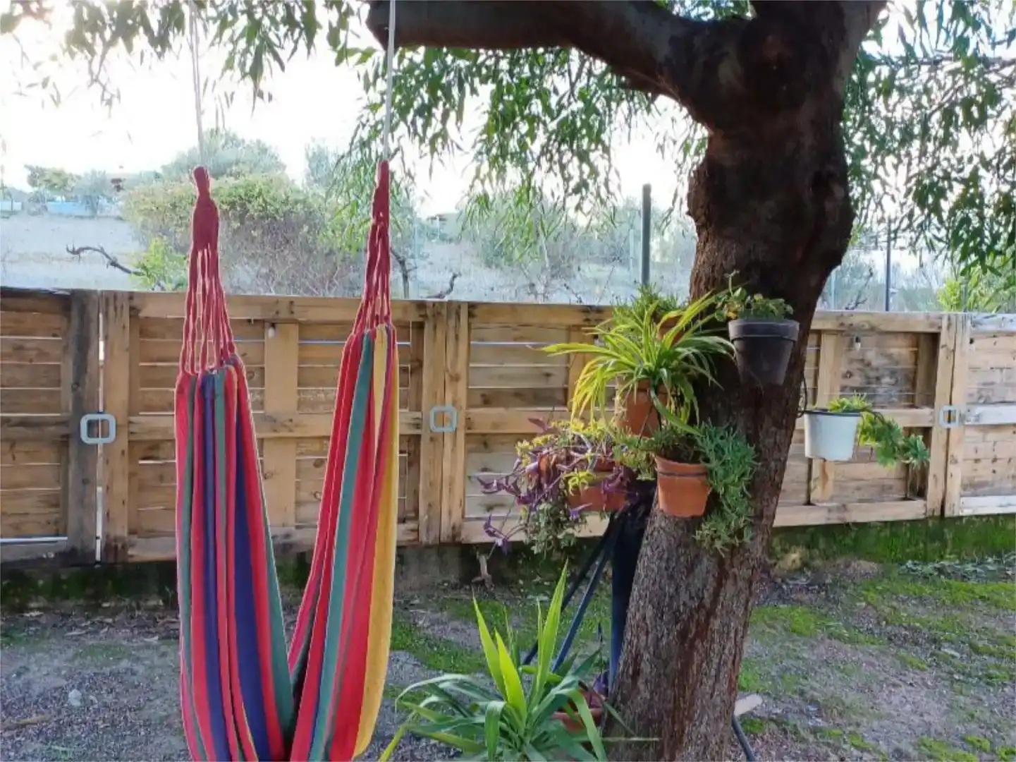 Jardín de Casa o chalet en venta en Almendralejo, Badajoz