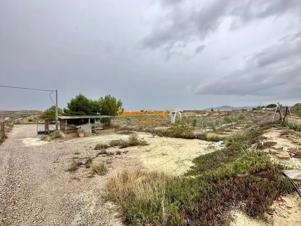 Finca rústica en venta en Novelda