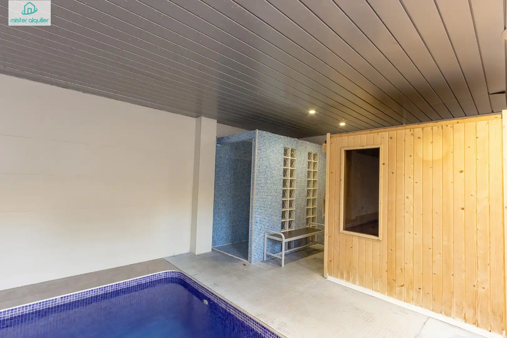 Swimming pool of Apartments for rent in El Campello  with Air Conditioner, Private garden and Furnished