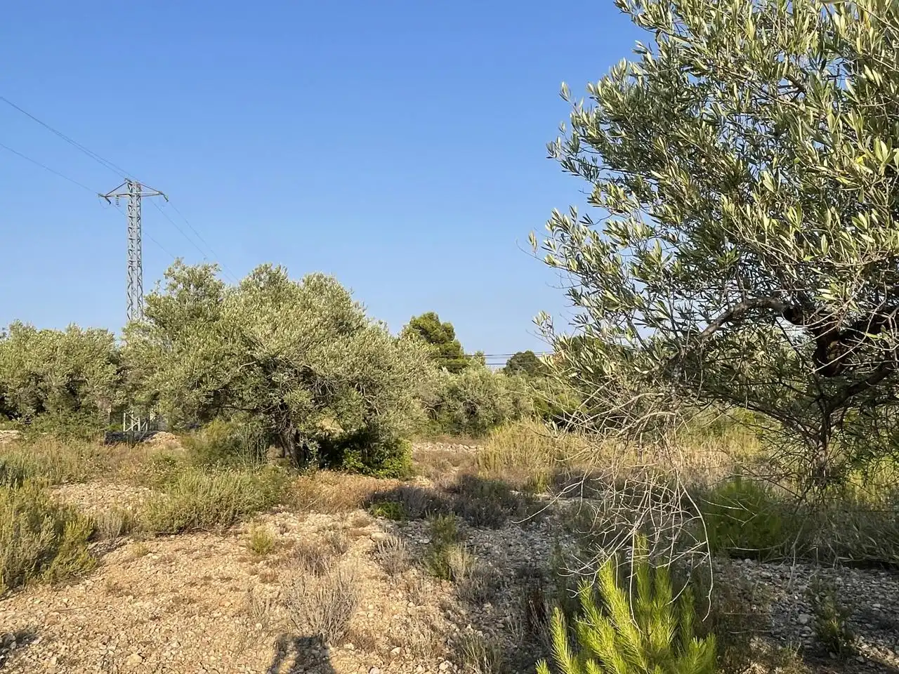 Terreno rustico in vendita a Partida Estany Tort, imagen 9