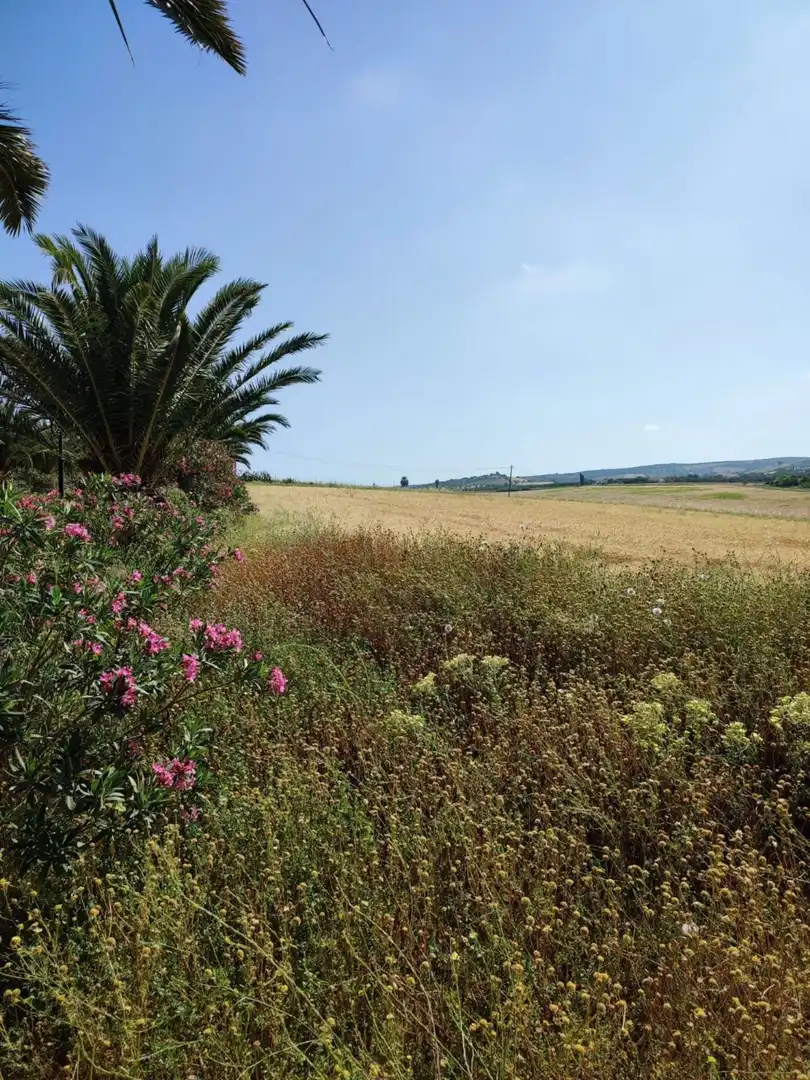 Terreno residencial en venta en Arcos de la Frontera, imagen 9