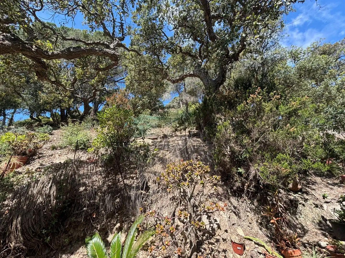 Terrenos y solares en venta en Canyelles, imagen 4
