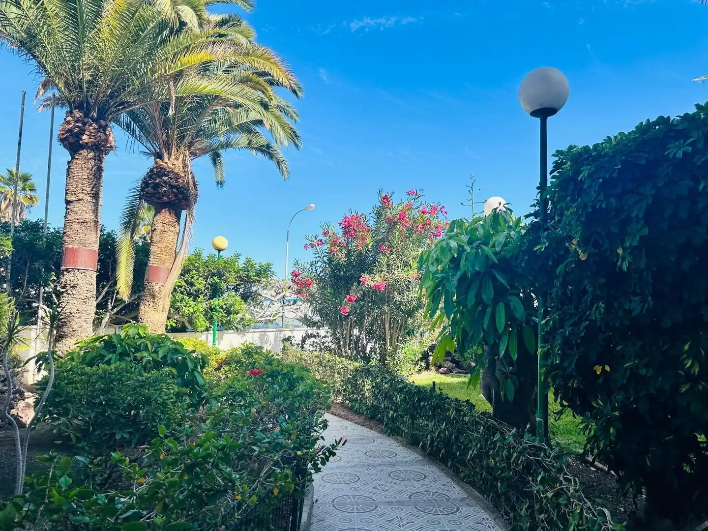 Vista exterior de Apartament de lloguer en San Bartolomé de Tirajana amb Aire condicionat, Jardí privat i Moblat