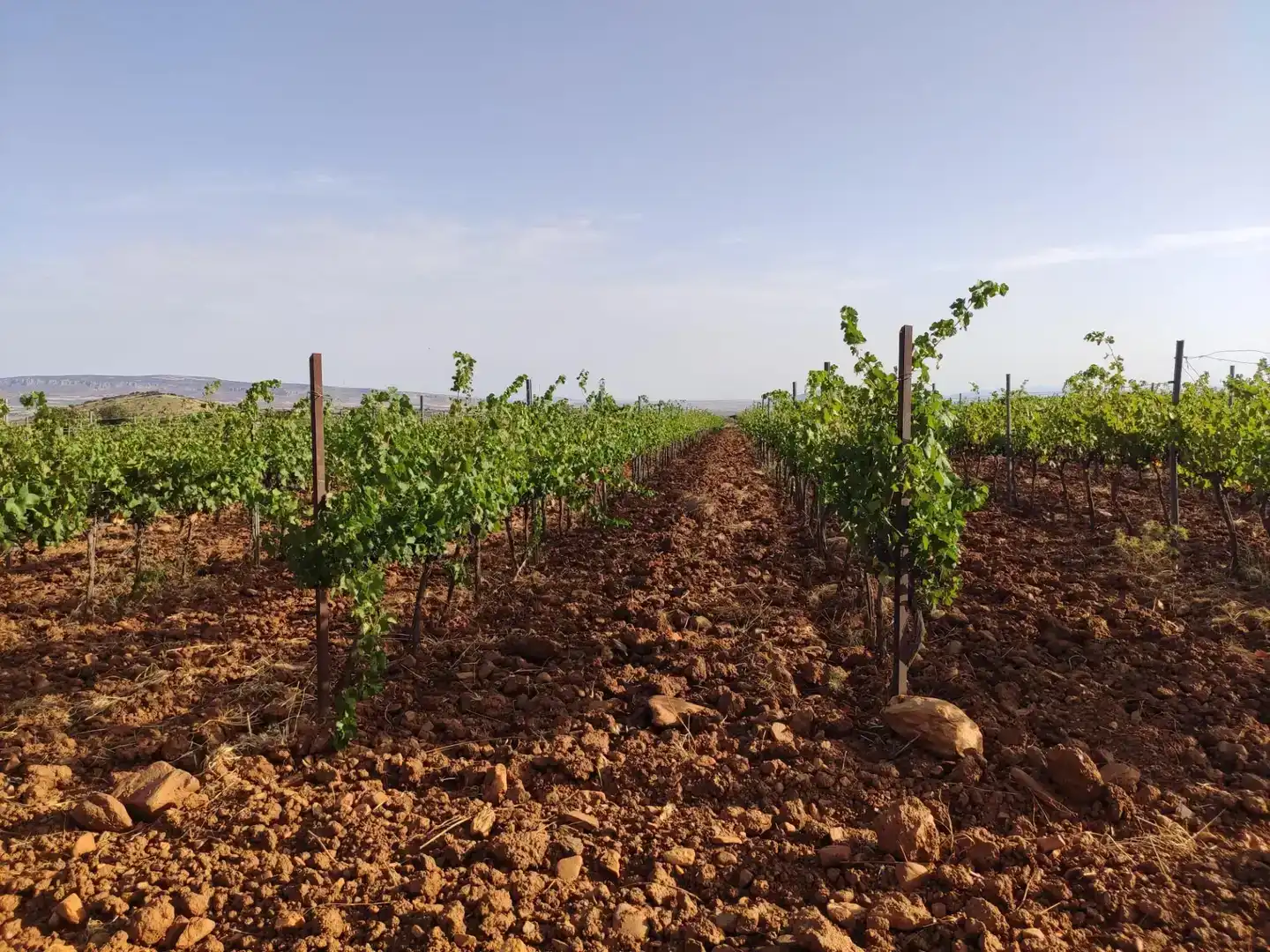 Terreno en venta en Cortes y Graena