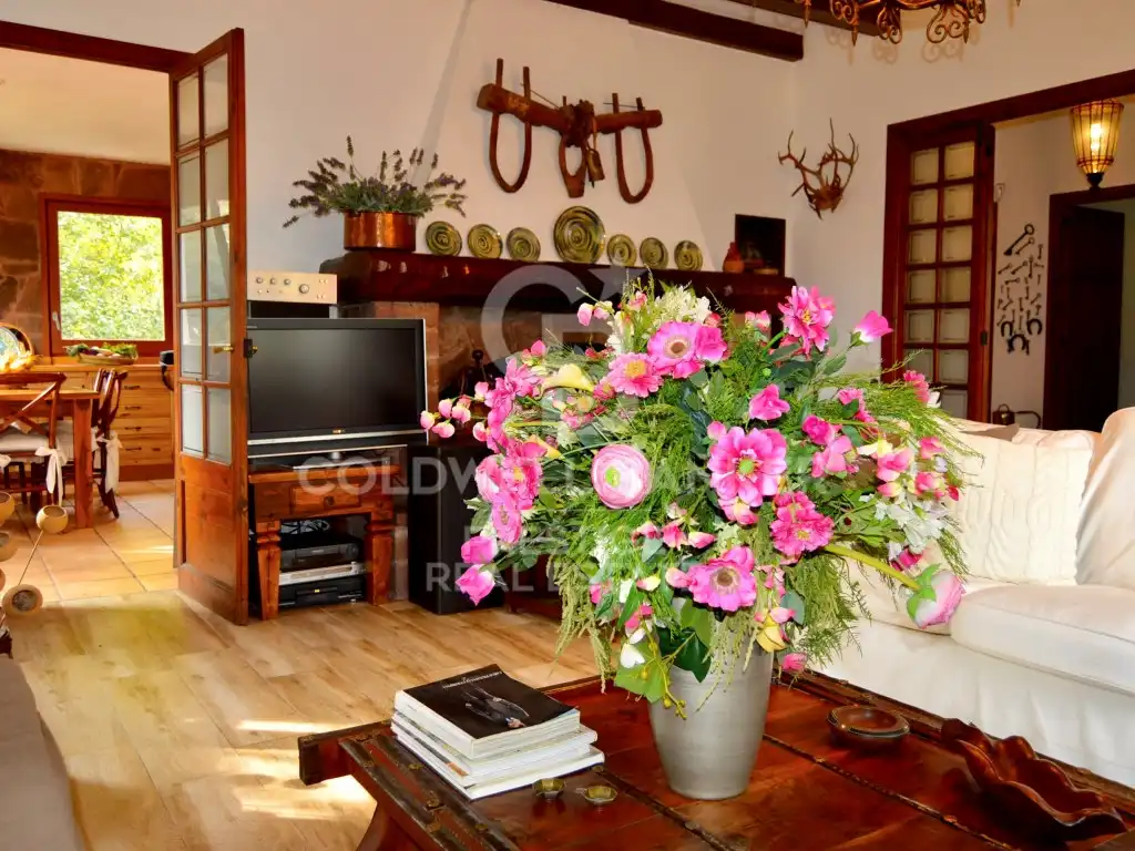 Sala de estar de Finca rústica en venta en Castellví de Rosanes