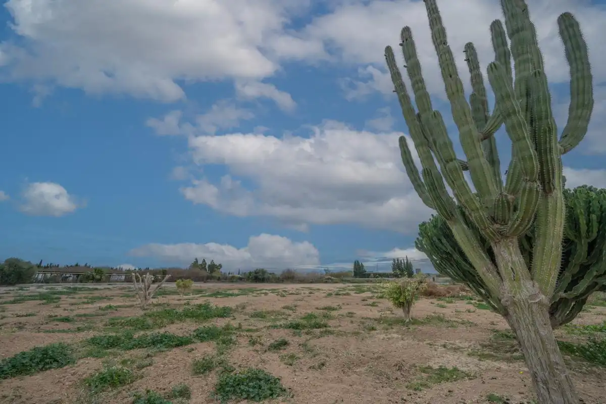 Casa o chalet en venta en San Miguel de Salinas con Aire acondicionado, Calefacción y Jardín privado