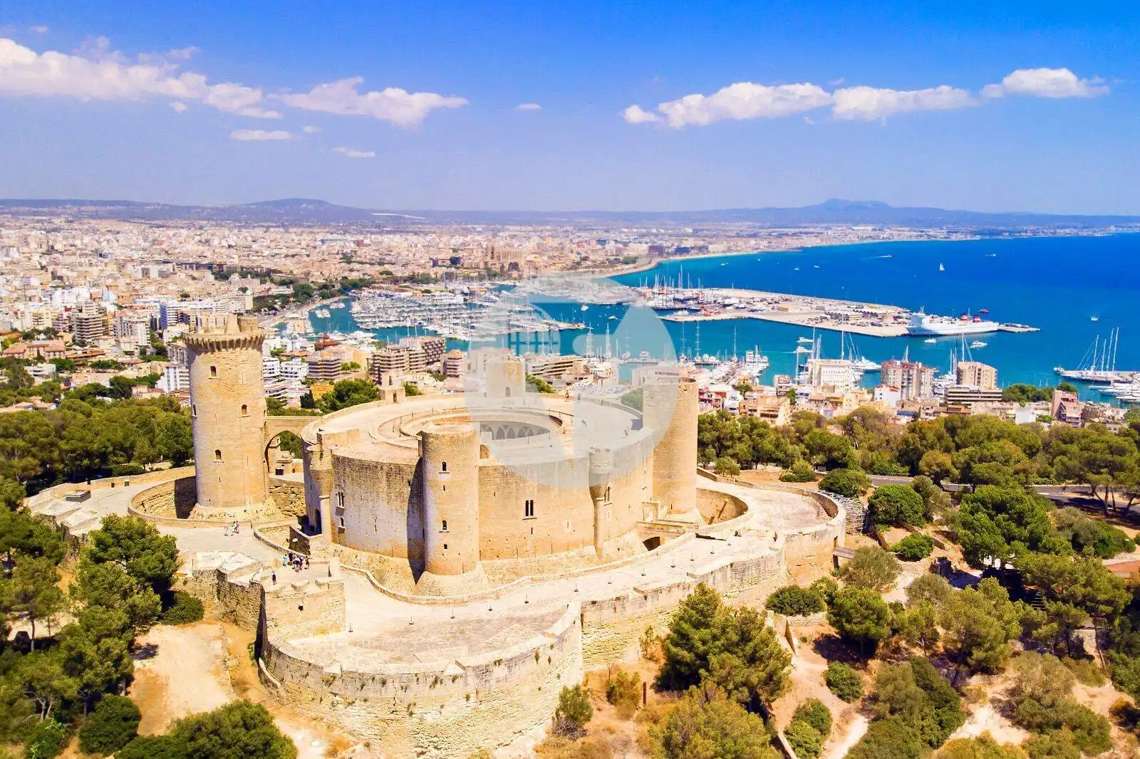 Vista exterior de Local en venta en  Palma de Mallorca