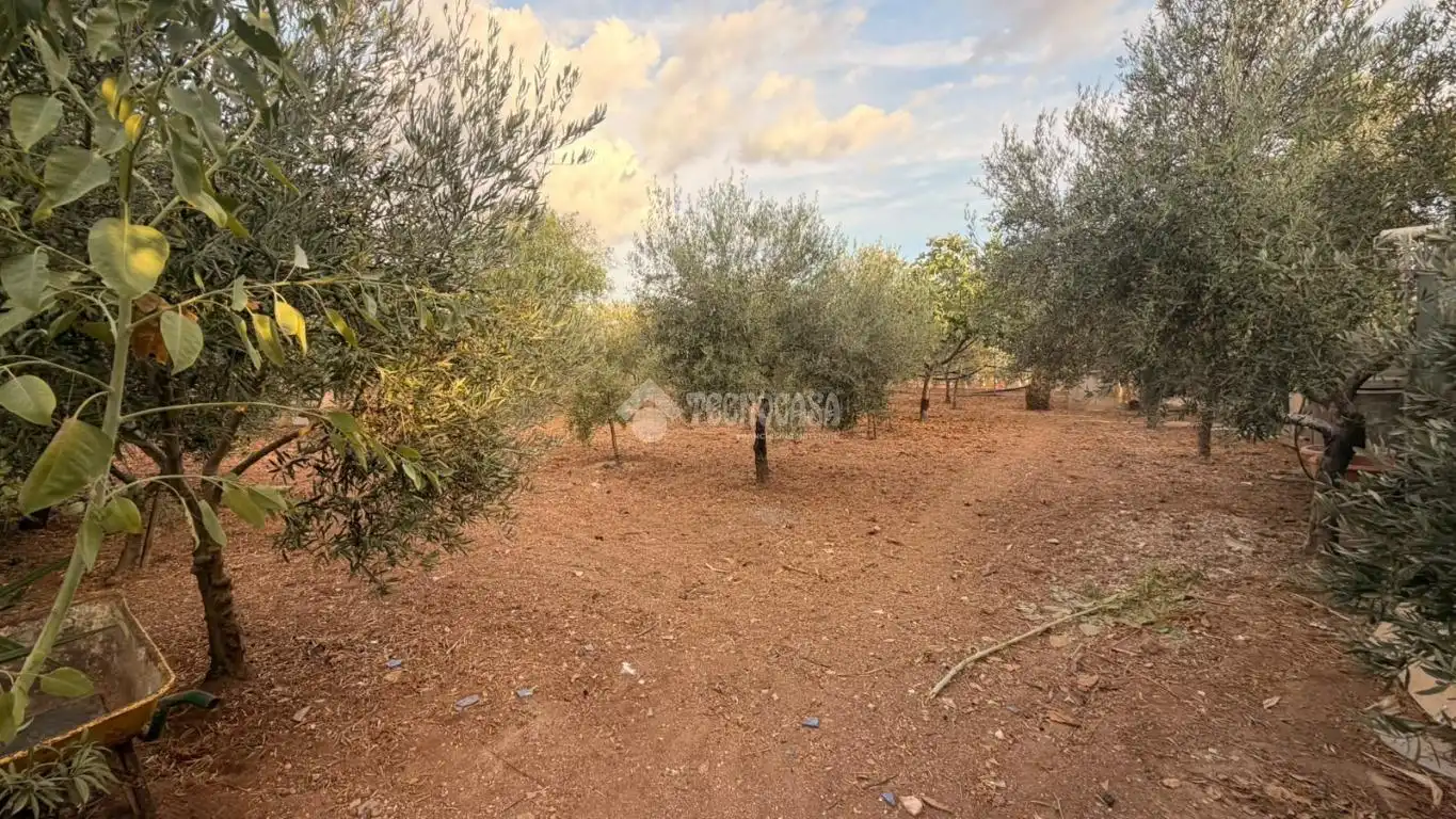 Finca rústica en venda en La Lantejuela , Sevilla
