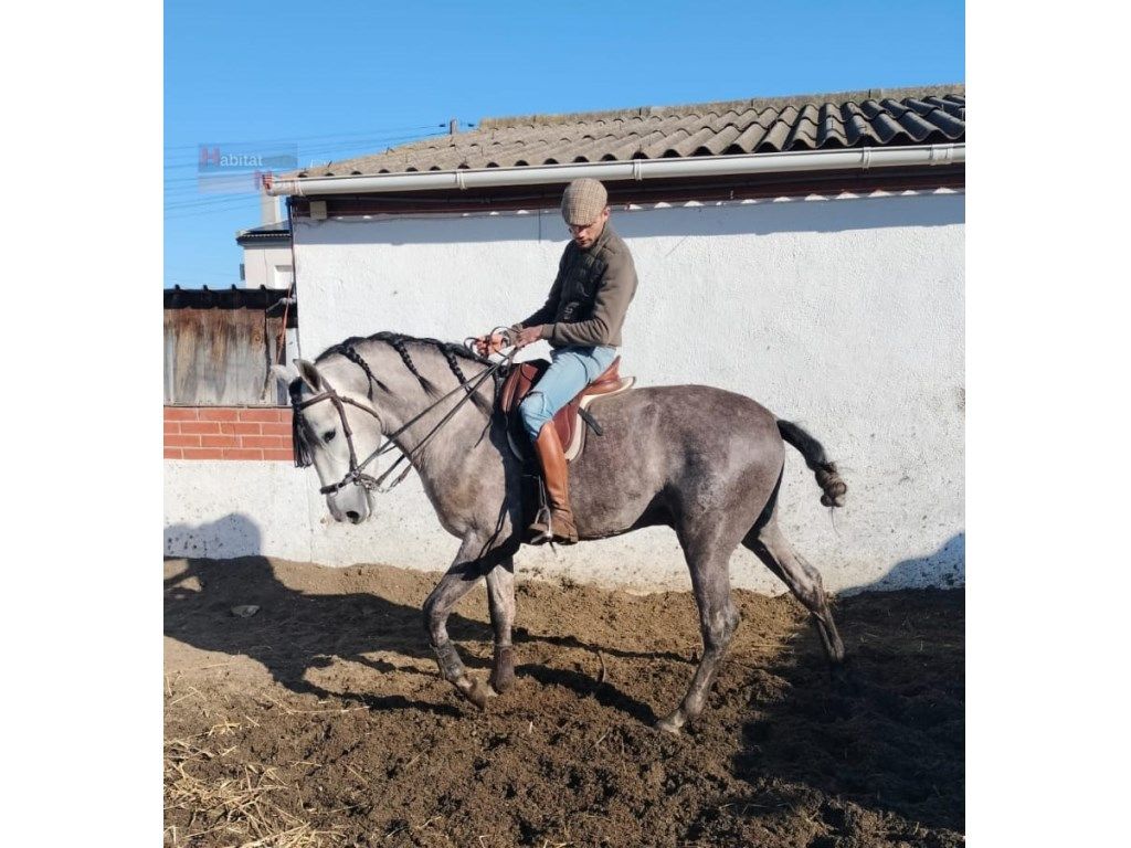 Vista exterior de Casa o xalet en venda en Albinyana