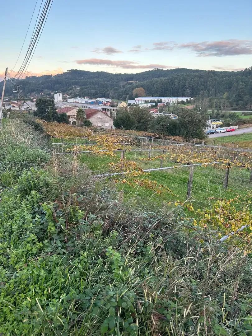 Terreni e lotti in vendita a Lugar Vilanoviña-Paradela, imagen 10