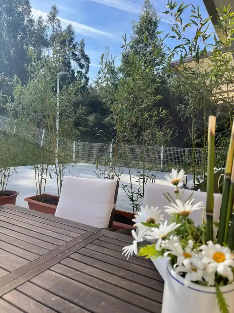 Terrace of Flat for rent in Barreiros, Lugo
