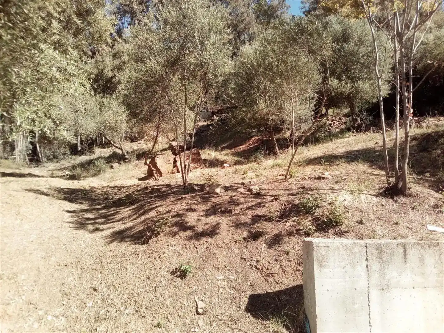 Casa o xalet en venda en Cortes de la Frontera amb Jardí privat i Traster