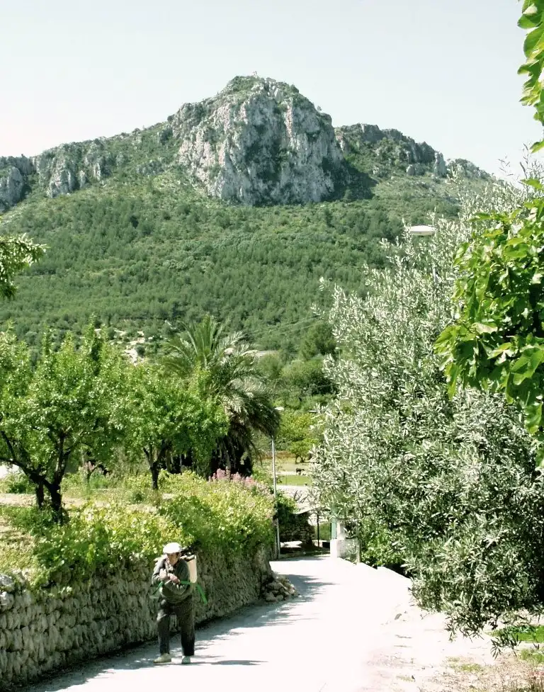 Residential land for sale in Orba, imagen 4