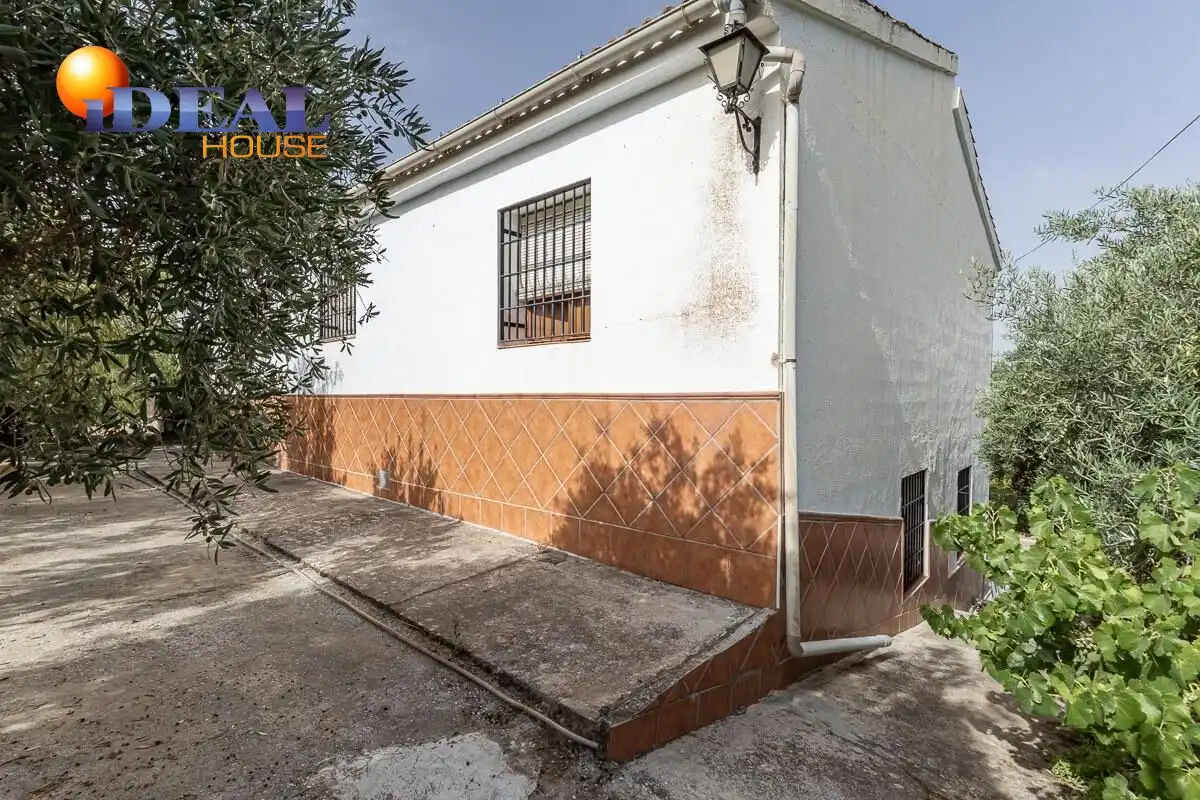 Xalet amb piscina en venda a Aljomahima - Ermita, imagen 8