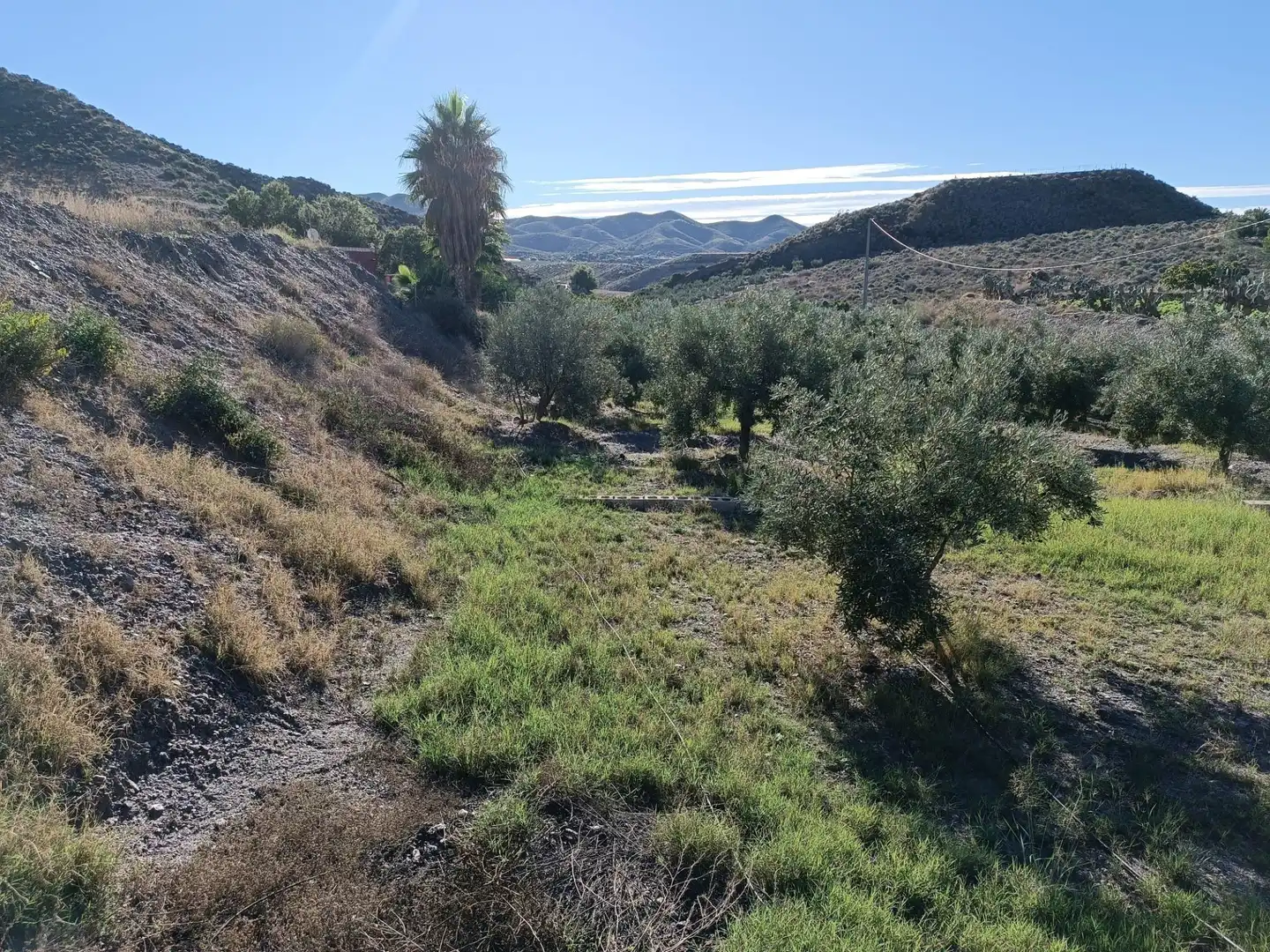 Terreno residenziale in vendita a Tébar - Los Arejos, imagen 12