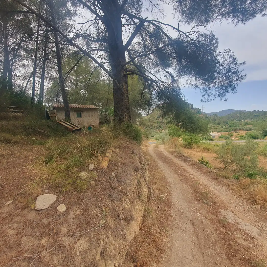 Terreno rústico en venta en Benifallet, imagen 20