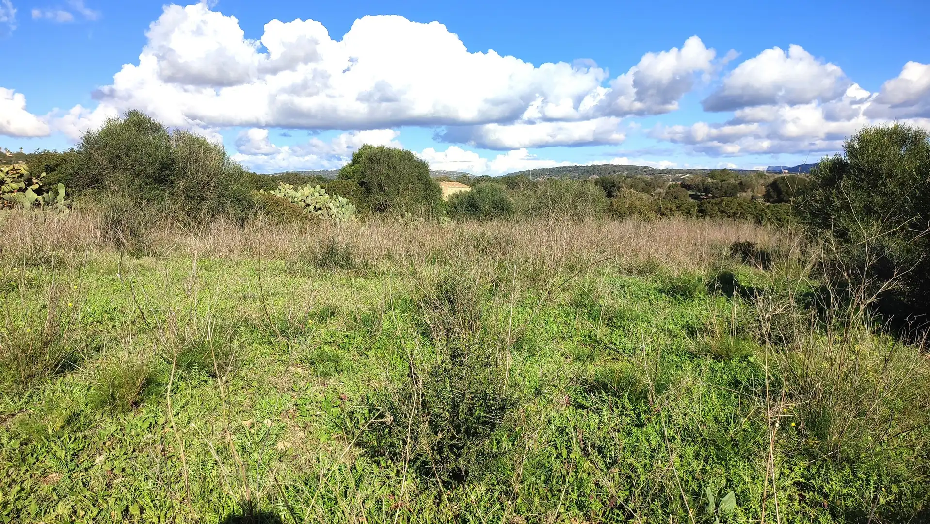 Rural land for sale in Diseminado Cdte Primero 3, imagen 7