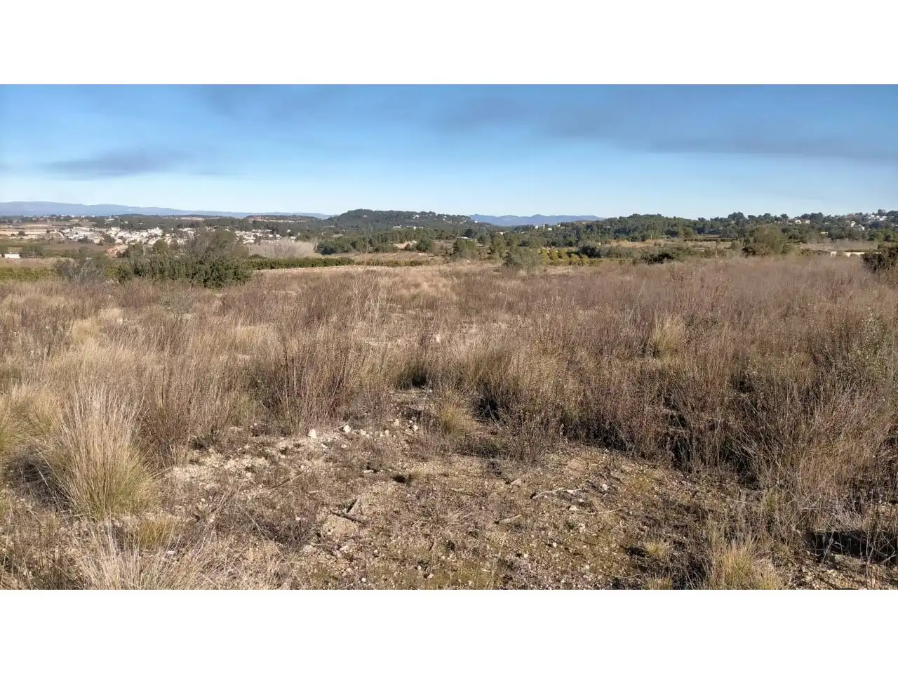 Rural land for sale in Poligono 13, imagen 14