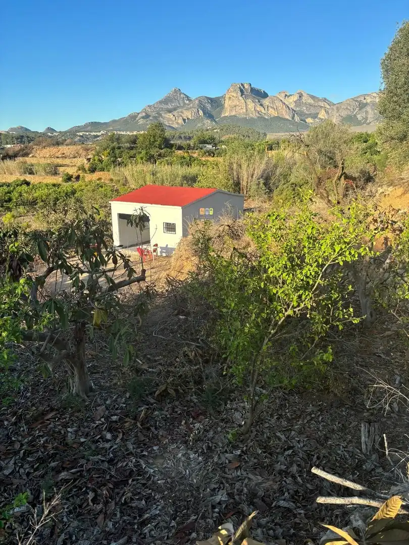Terreno rustico in vendita a Callosa d'en Sarrià, imagen 8