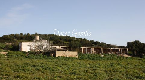 FINCA RUSTICA, imagen 2