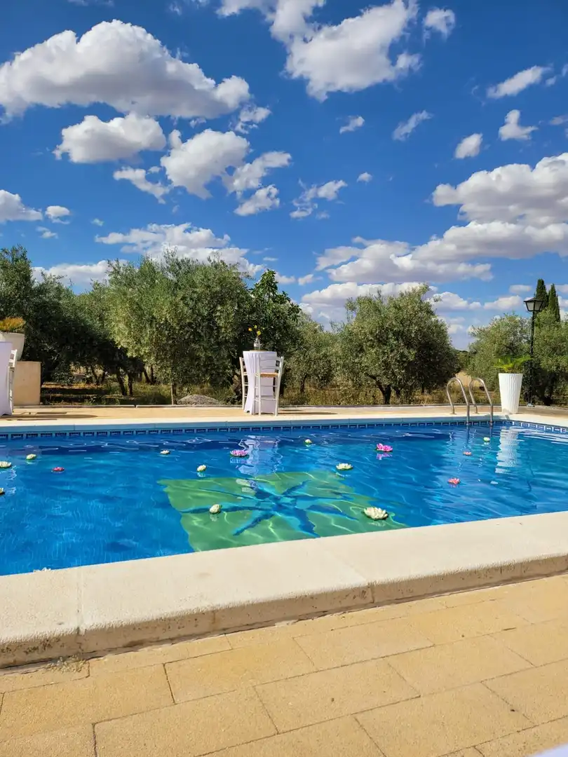 Piscina de Casa o chalet en venta en Ciudad Real con Aire acondicionado, Calefacción y Terraza