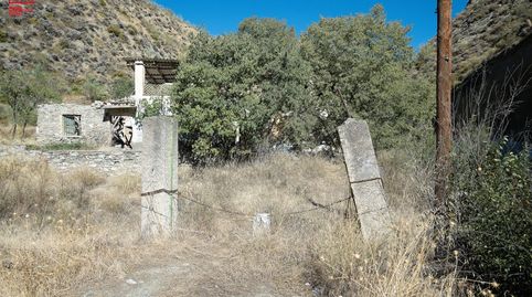 HERMOSA FINCA EN PINOS GENIL, imagen 2