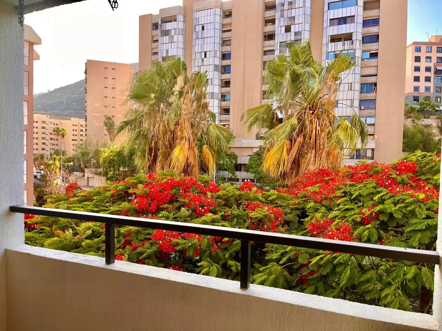 Wohnung mit Terrasse zum Verkauf in Calle Calle Elías Ramos González, imagen 30