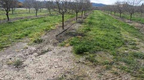 Foto 2 von Residential zum Verkauf in Benissanet, Tarragona