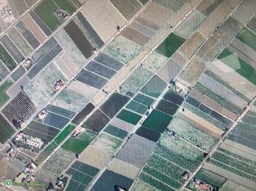 Terreno rústico en venta en San Fulgencio