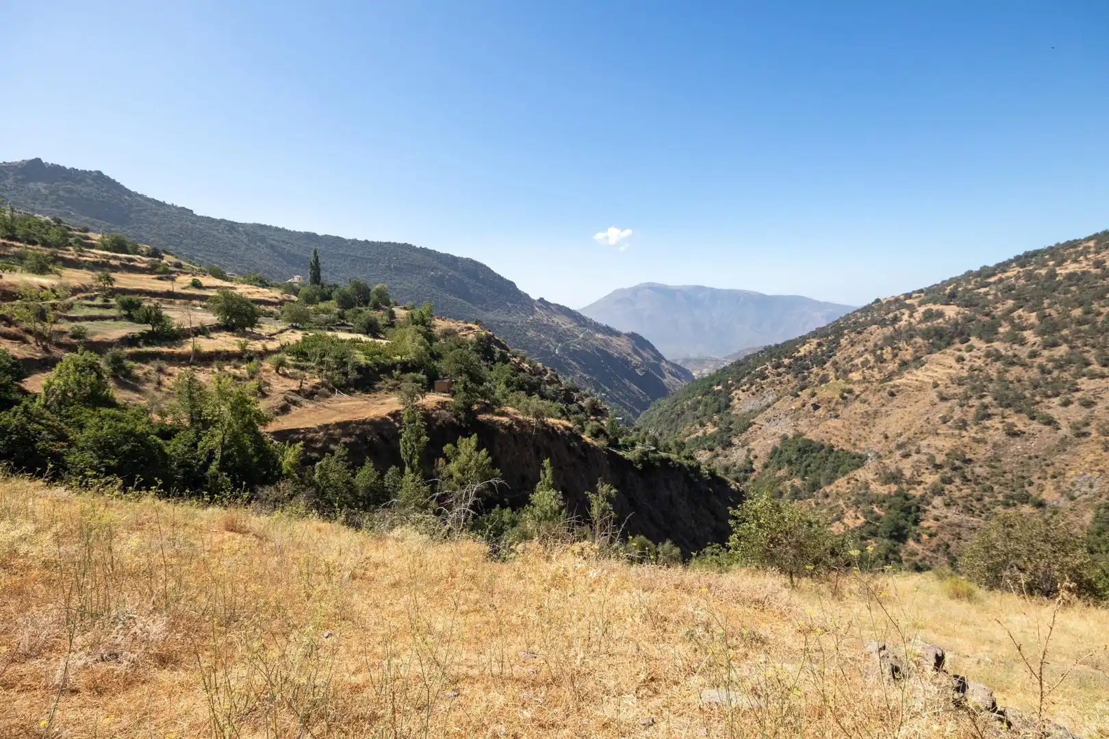 Rural land for sale in Polígono 3 Parcela 19 JARILA. BUBION (GRANADA), imagen 18