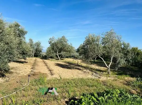 Terreni e lotti in vendita a Baeza, imagen 29