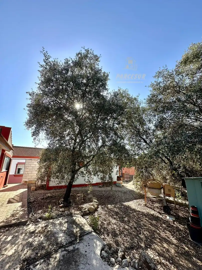 Haus mit Pool zum Verkauf in Almodóvar del Río, imagen 44