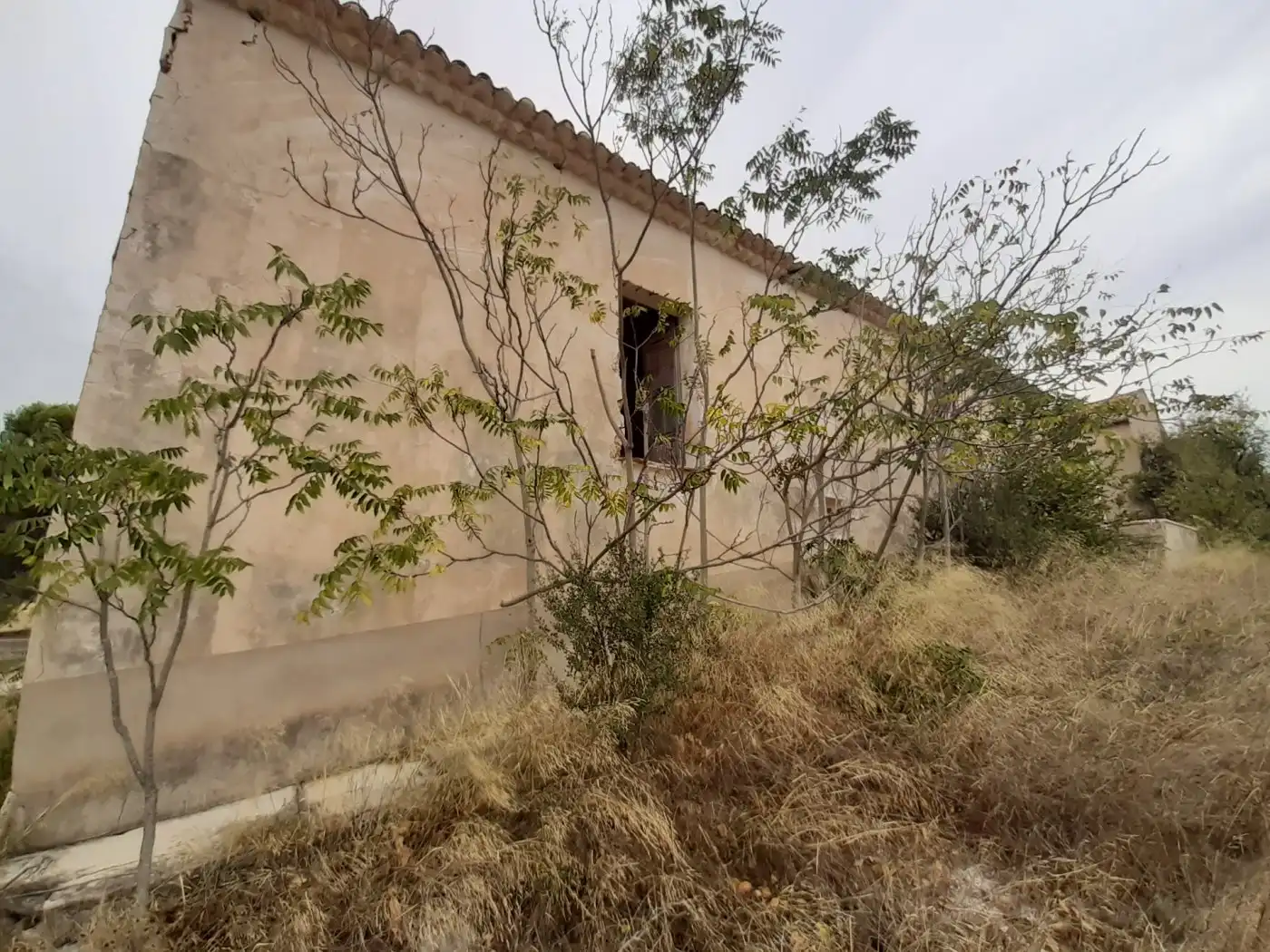 Maison rustique avec piscine à vendre à Monóvar  / Monòver, imagen 6