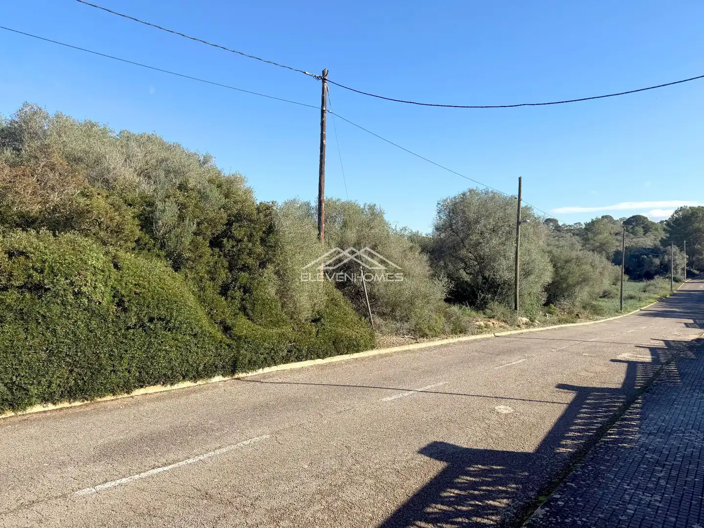 Terreny rústic en venda a Llevant, imagen 6