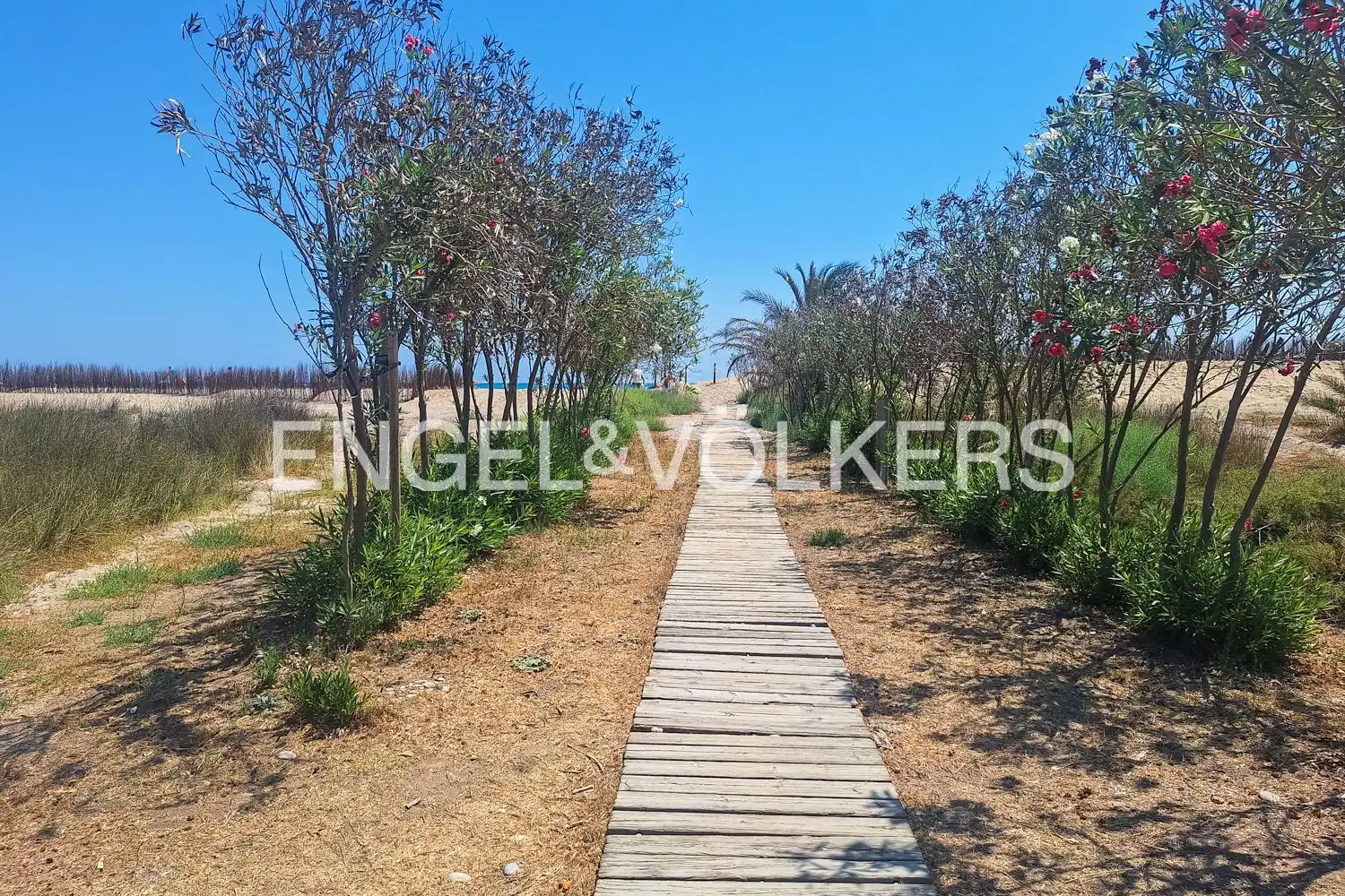 Residential land for sale in Corinto - Almarda, imagen 18