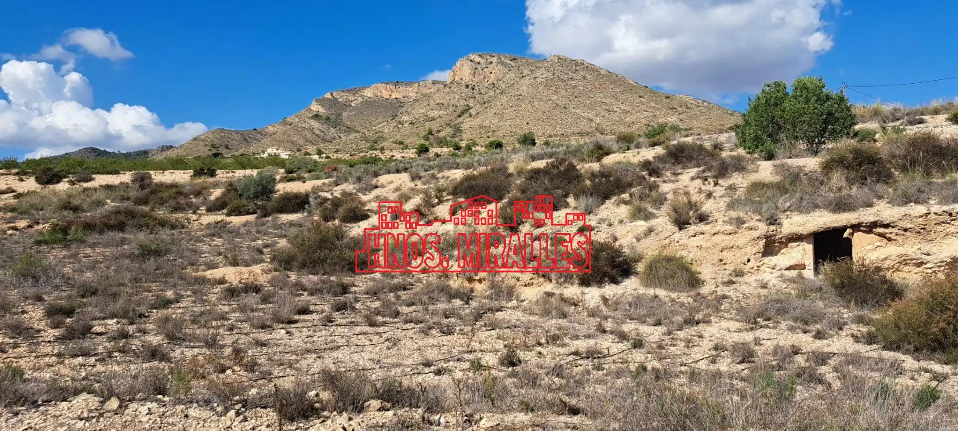 Residential land for sale in Novelda, imagen 4