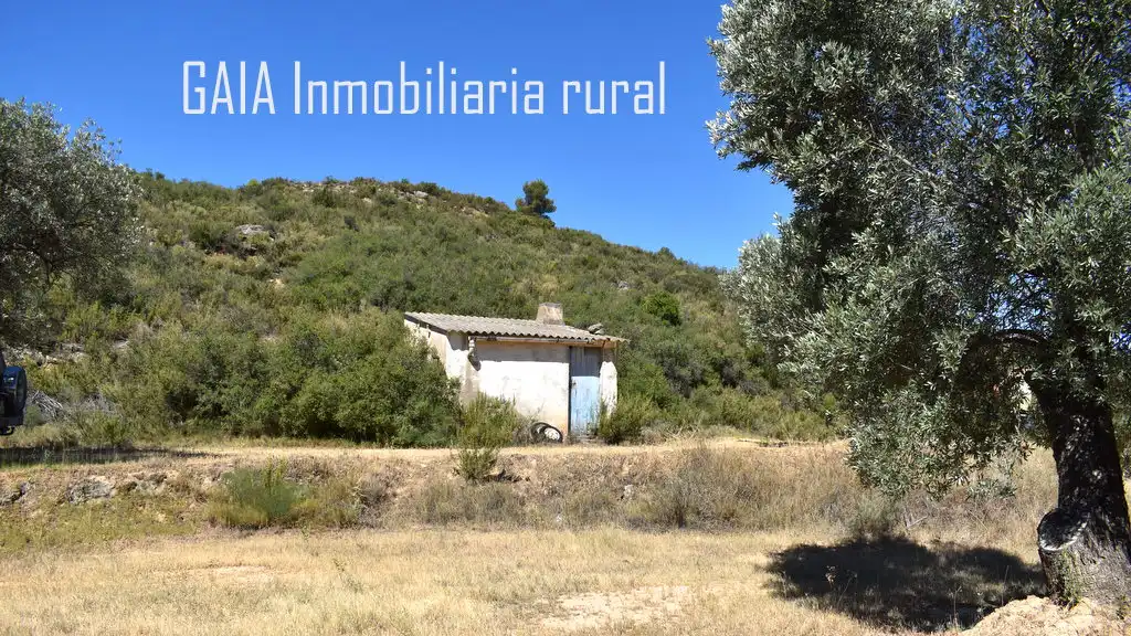 Casa rústica en venda a Maella, imagen 2