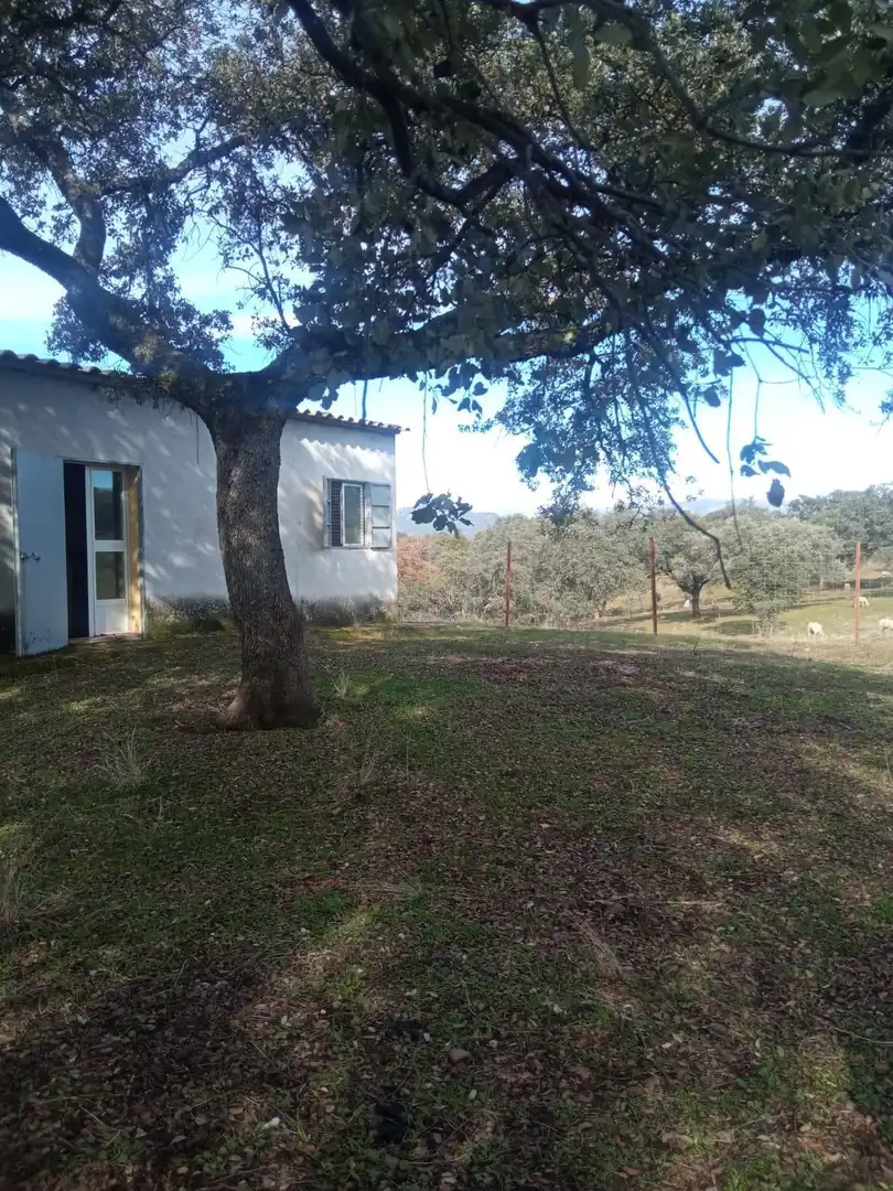 Finca rústica en venda en Cardeña