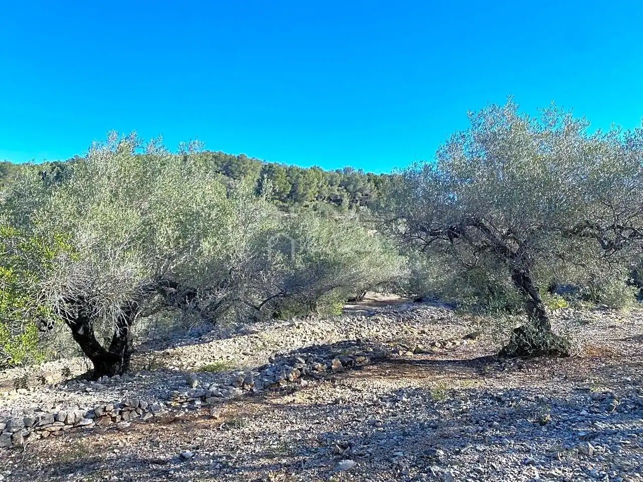 Terreno rustico in vendita a Aubachs, imagen 16