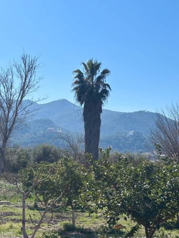 Casa-chalet en Venta en Algezares