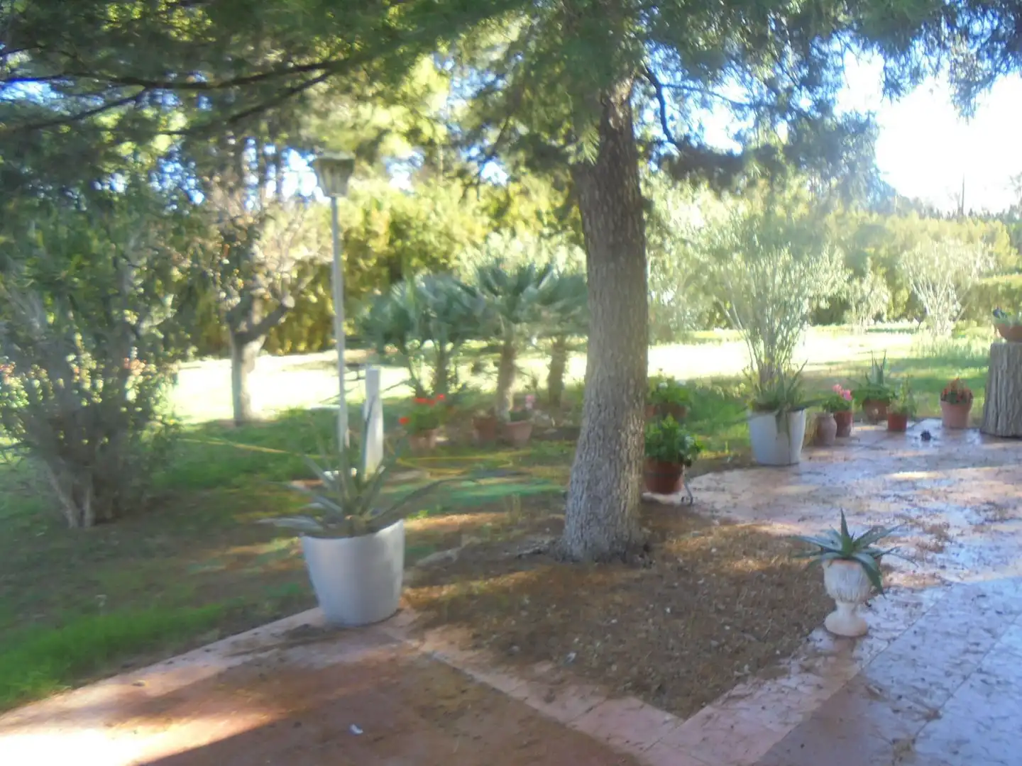 Chalet con piscina en venta en Almodóvar del Campo, imagen 2
