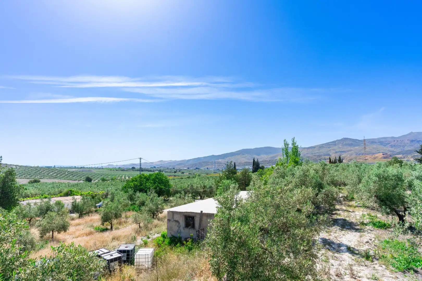 Terreno en venta en Tíjola