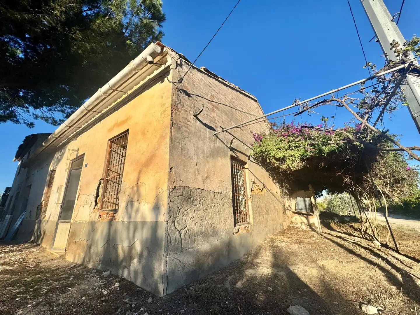 Vista exterior de Finca rústica en venta en Murcia