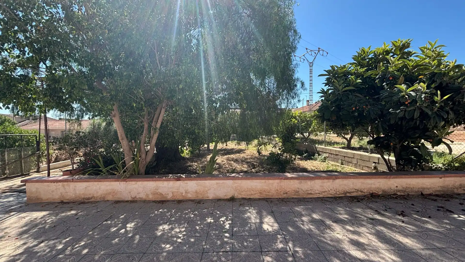 Jardín de Casa o chalet en venta en Fuente Álamo de Murcia con Jardín privado y Amueblado
