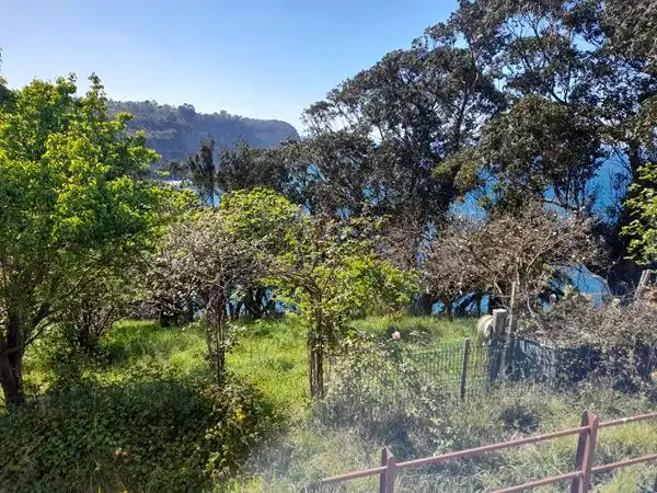 Casa o chalet en venta en Villaviciosa