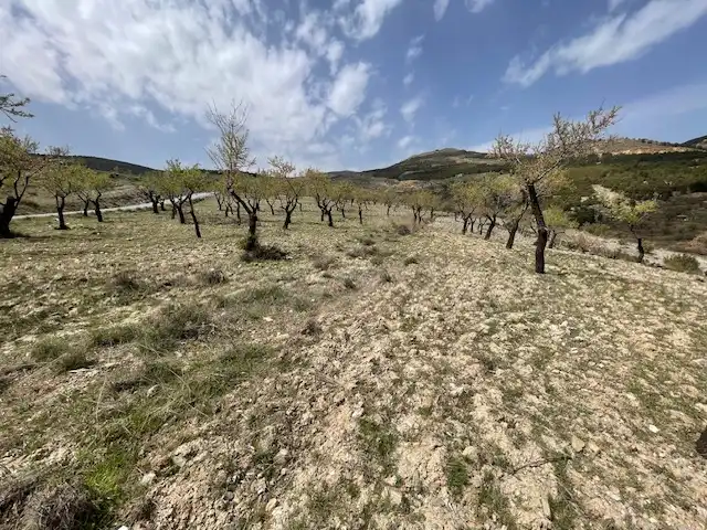 Rural land for sale in Alcudia de Monteagud, imagen 2
